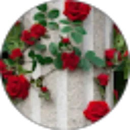 Review From meccaaa m
