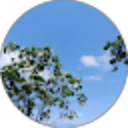 Review From Ophw_18