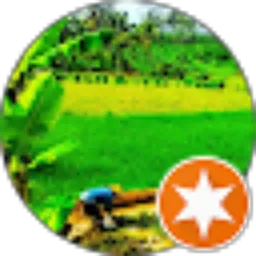Review From aji piguna