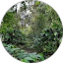 Review From tomy hertanto