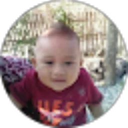 Review From Wahid Punuh