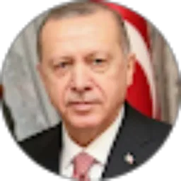 Review From Prof. Dr. H Erdogan