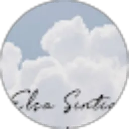 Review From Elsa Sintia LM