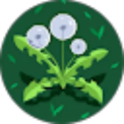 Review From Dena