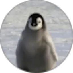 Review From Artic Penguin