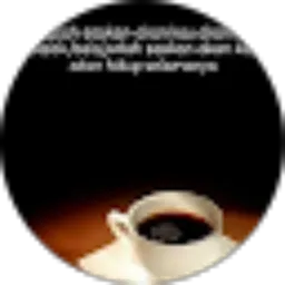 Review From Taraka Wulung Adisti