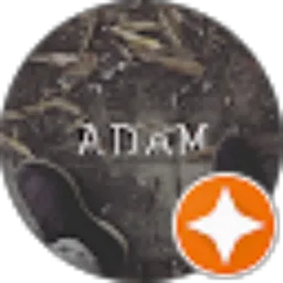 Review From Adam Yanuar