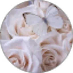 Review From Suswanti A. Abubakar