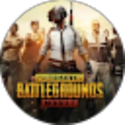 Review From PUBG MOBILE_IND