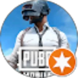 Review From SUSWANTO