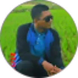 Review From Arman Efendi