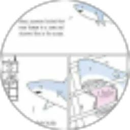 Review From Self 000
