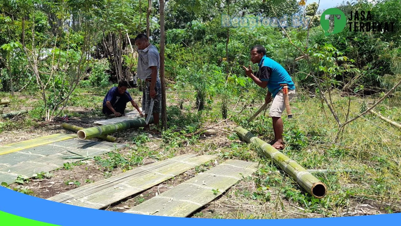 Gambar SMA NEGERI 2 SOA – Ngada, Nusa Tenggara Timur ke 2