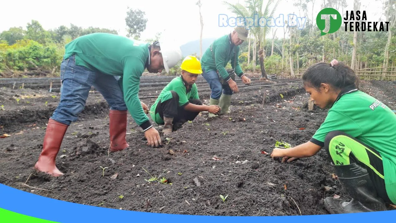 Gambar SMK NEGERI NDORA – Nagekeo, Nusa Tenggara Timur ke 1