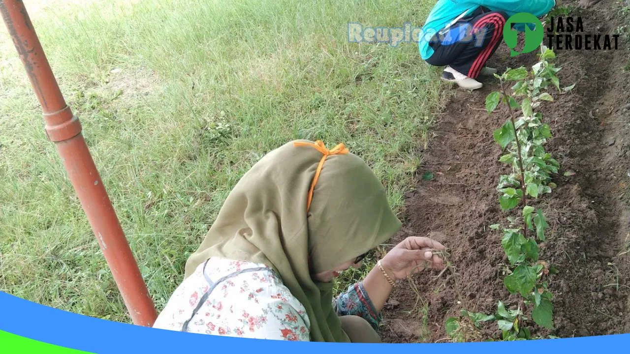 Gambar SMA Dharma Patra Pangkalan Susu – Langkat, Sumatera Utara ke 2