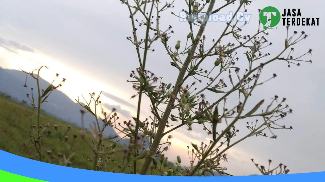 Gambar SMA Ypbi 3 Tugumulyo – Musi Rawas, Sumatera Selatan ke 3