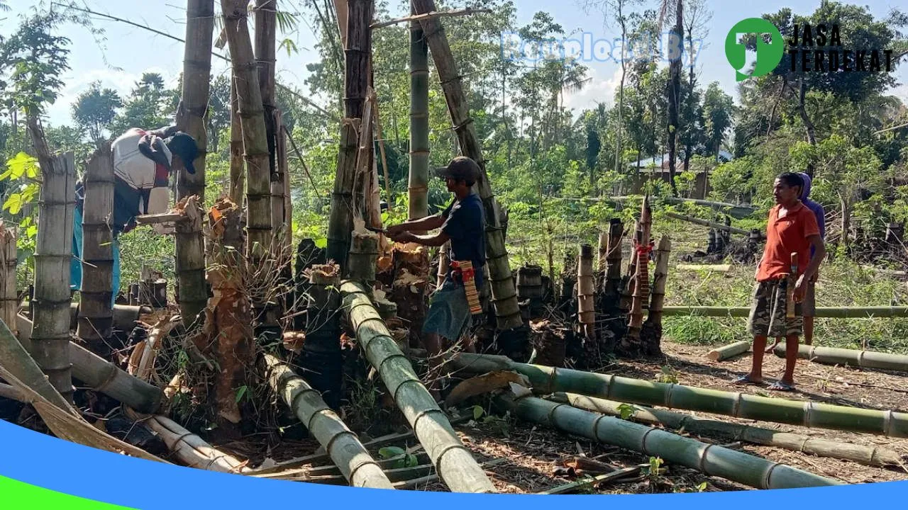 Gambar SMA NEGERI 2 SOA – Ngada, Nusa Tenggara Timur ke 1
