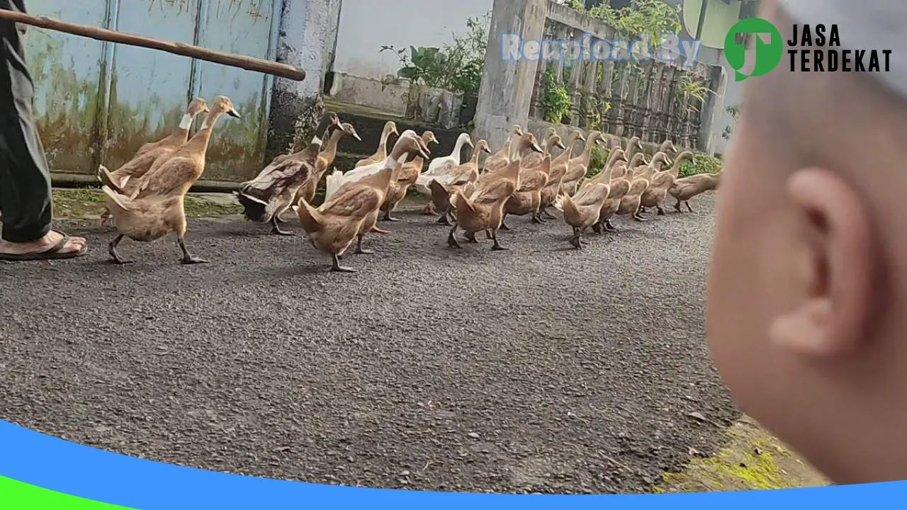Gambar Jayadi Mart di Wonosobo, Jawa Tengah ke 1