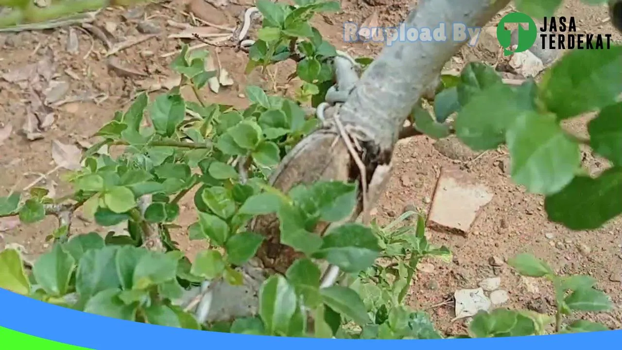 Gambar PT. Sapto Argo Perkasa di Grobogan, Jawa Tengah ke 3