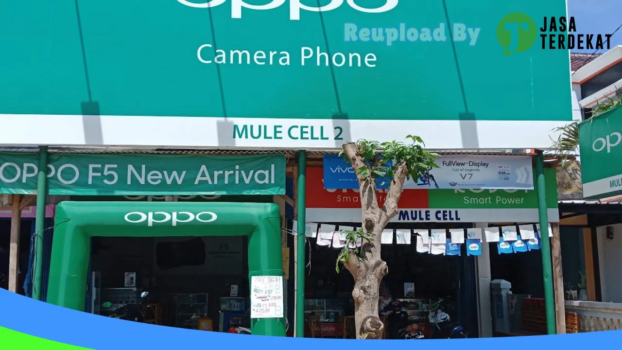 Gambar Mule Cellular di Lampung Selatan, Lampung ke 3