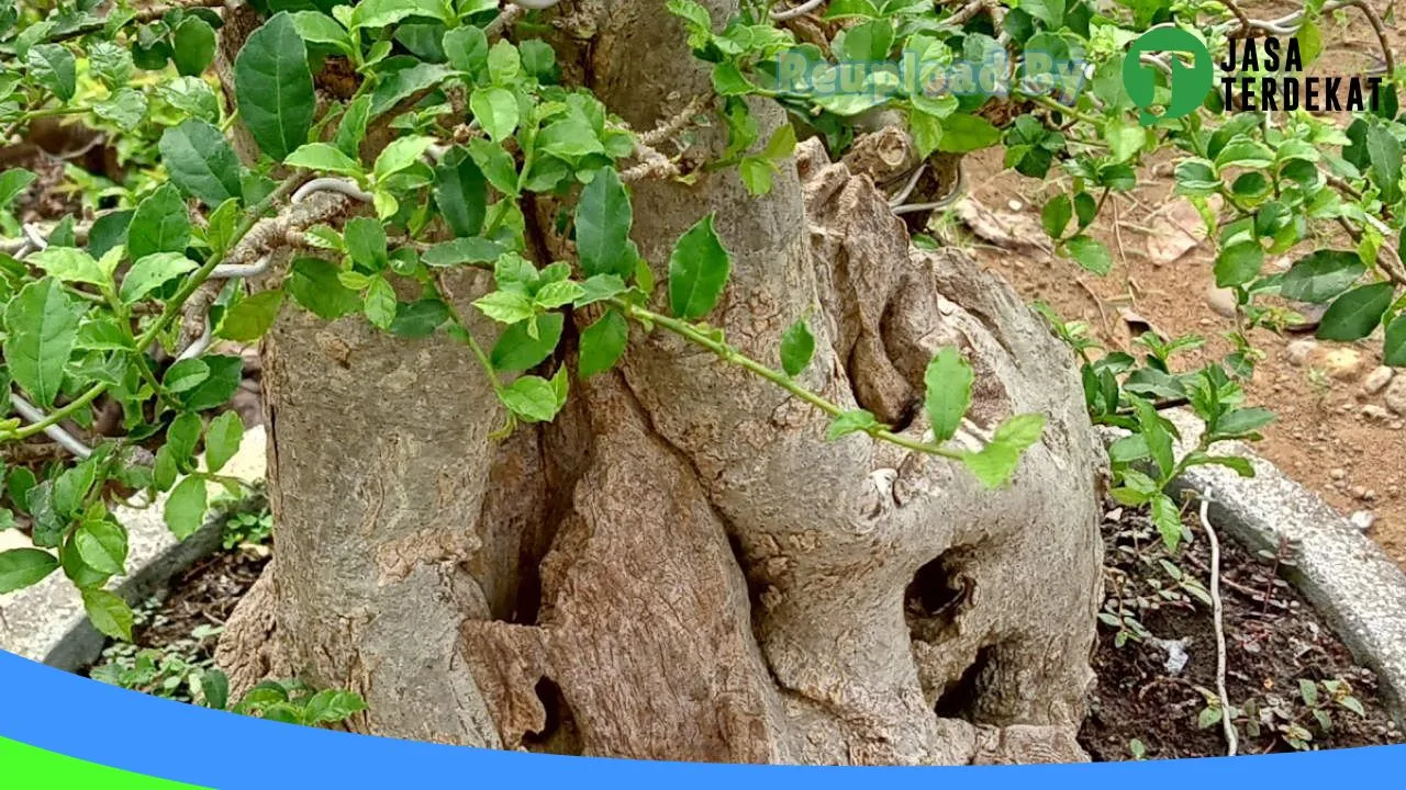 Gambar PT. Sapto Argo Perkasa di Grobogan, Jawa Tengah ke 2