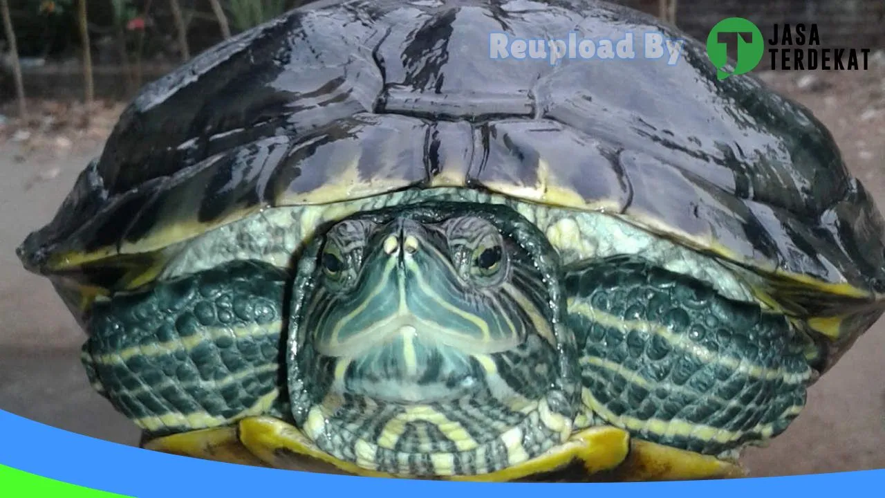Gambar CV Adi Kencana di Tulungagung, Jawa Timur ke 2