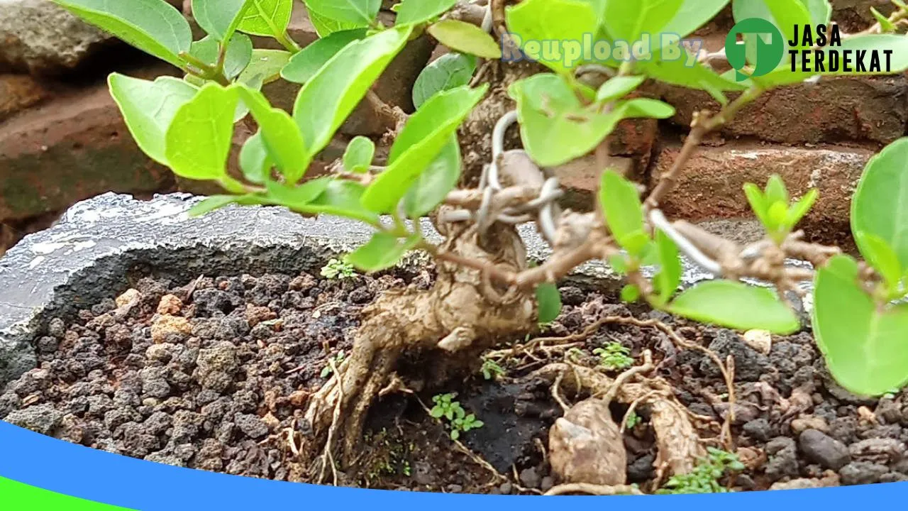 Gambar PT. Sapto Argo Perkasa di Grobogan, Jawa Tengah ke 5