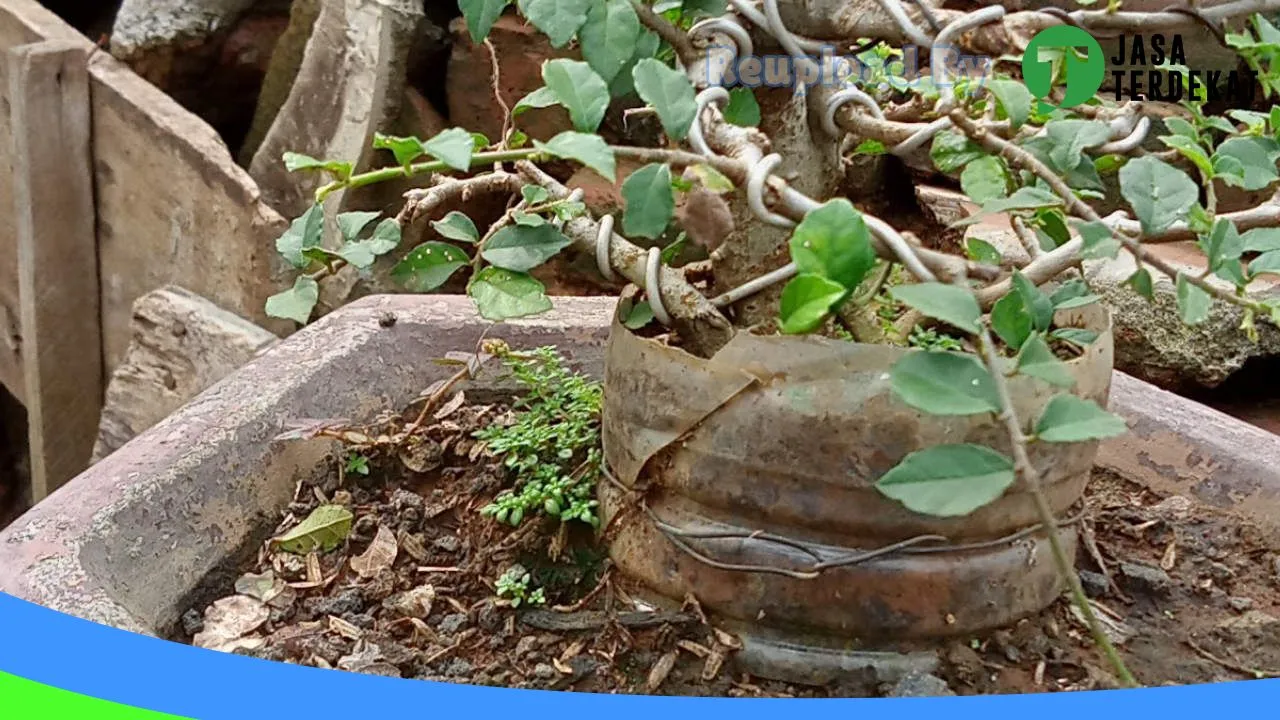 Gambar PT. Sapto Argo Perkasa di Grobogan, Jawa Tengah ke 4