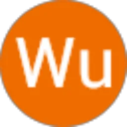Review From Wu Lei