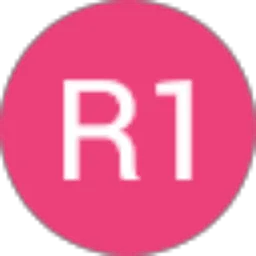 Review From R1 zero