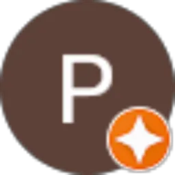 Review From Paulus Supartono