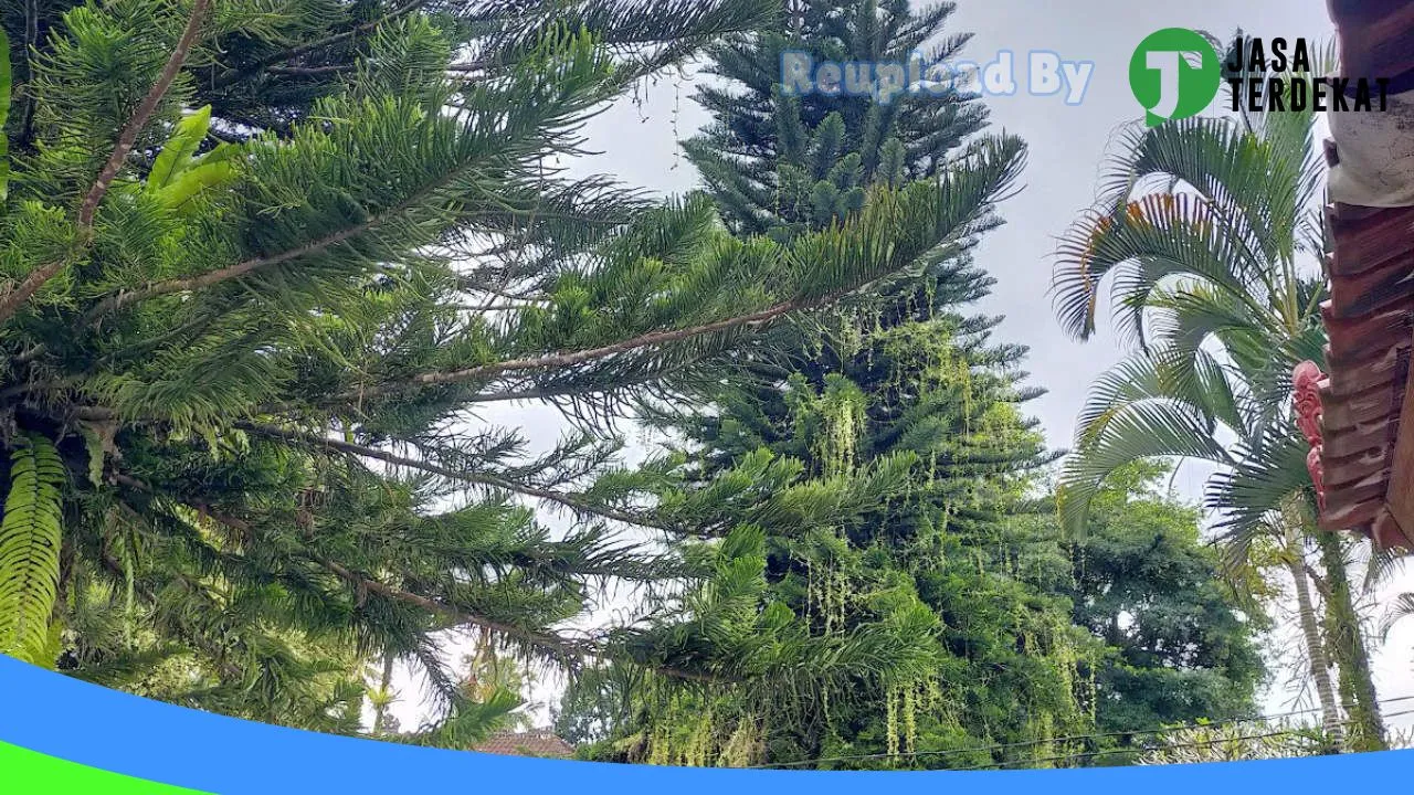 Gambar SMA Negeri 1 Petang – Badung, Bali ke 4