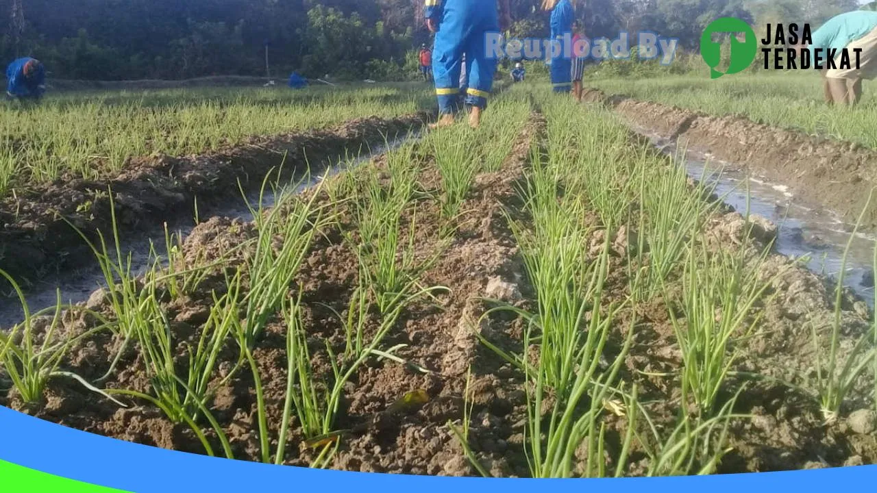 Gambar SMK N 1 LAMBALEDA – Manggarai Timur, Nusa Tenggara Timur ke 2
