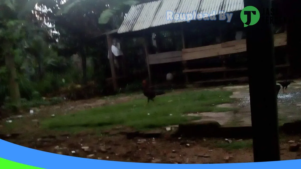 Gambar EDI COMPUTER di Lampung Selatan, Lampung ke 3
