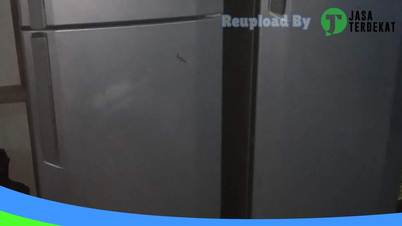 Gambar BUJANG ELECTRONIK di Muaro Jambi, Jambi ke 5
