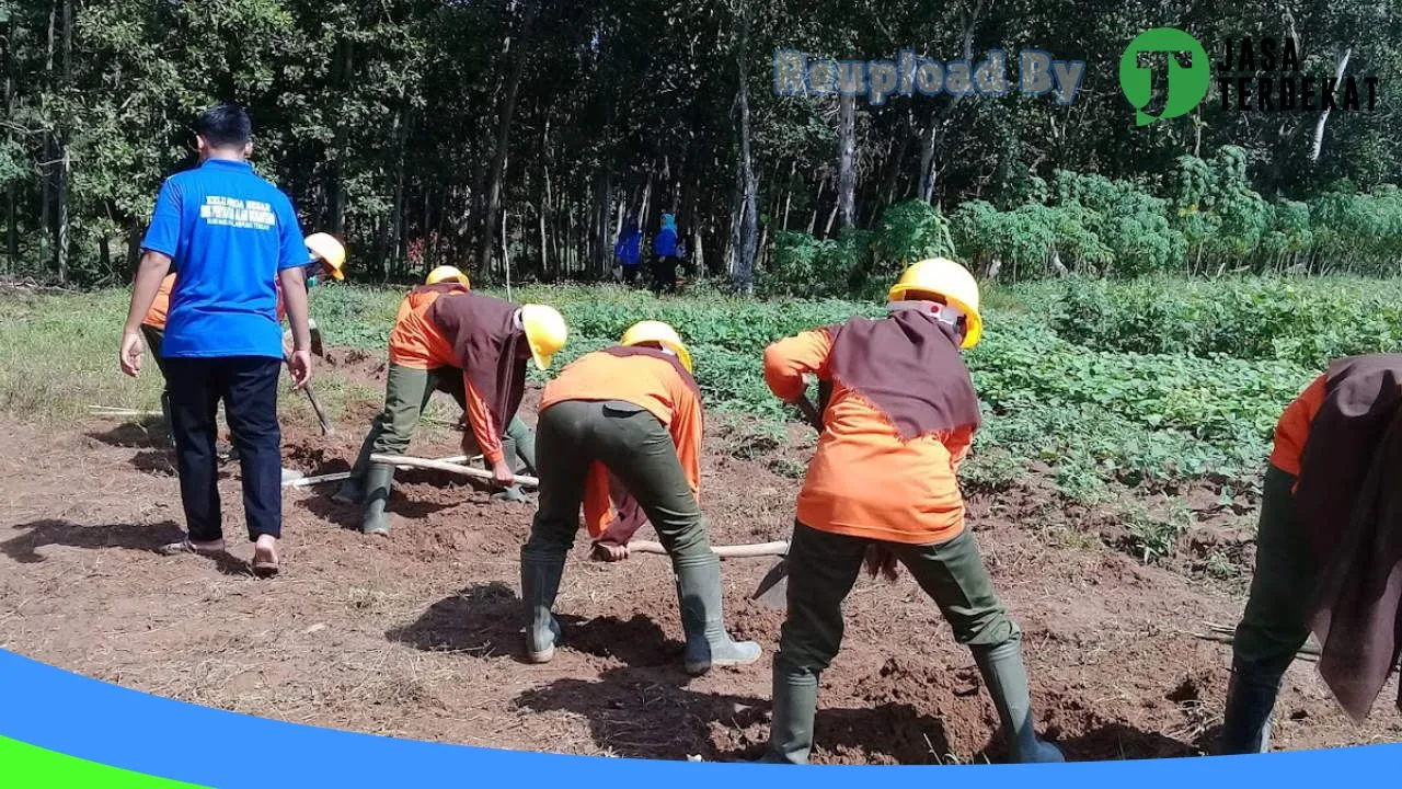 Gambar SMK PERTANIAN ALAM NUSANTARA – Lampung Tengah, Lampung ke 1