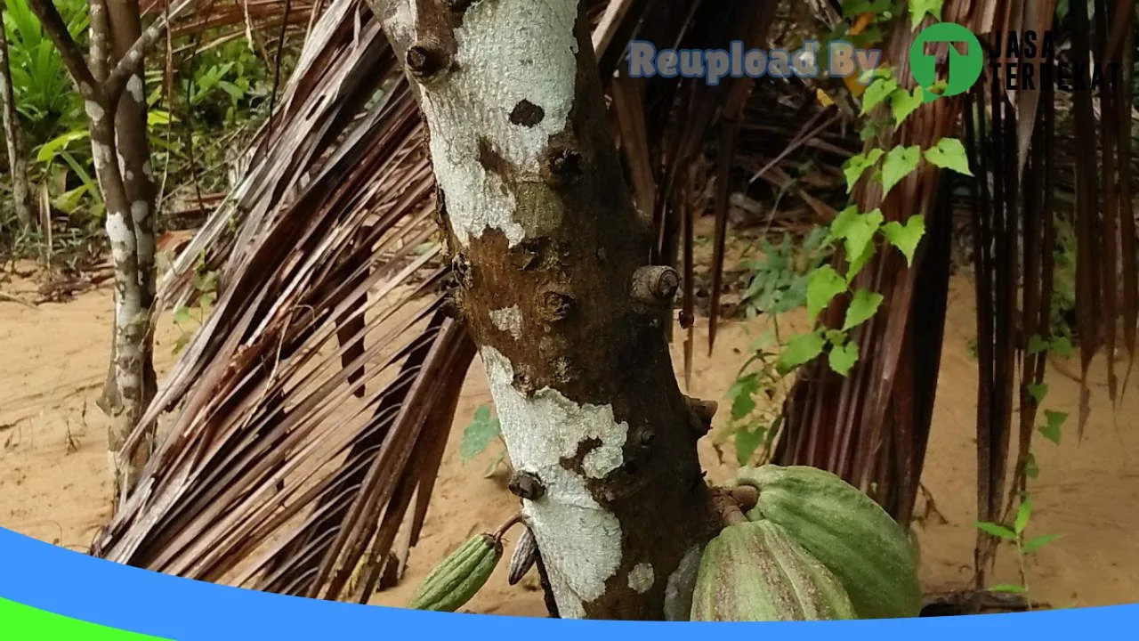 Gambar MainCamp PT.ADT – Pulau Taliabu, Maluku Utara ke 5
