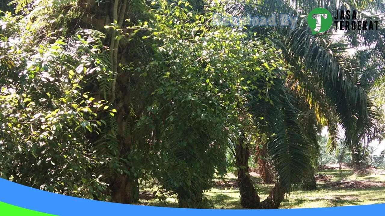Gambar PT PLN (Persero) UP3 Pematangsiantar di Pematangsiantar, Sumatera Utara ke 3