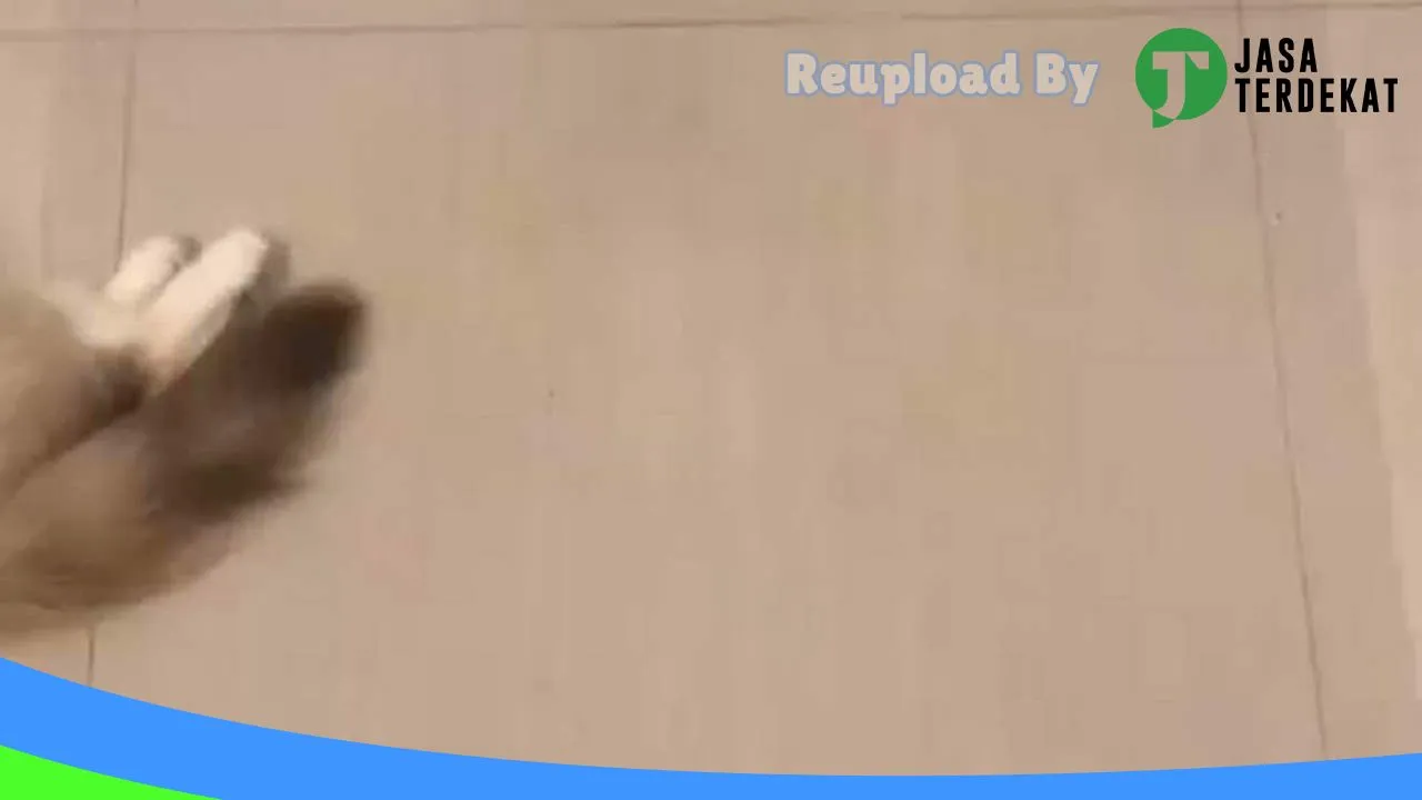 Gambar AL CAMERA PURBALINGGA di Purbalingga, Jawa Tengah ke 1