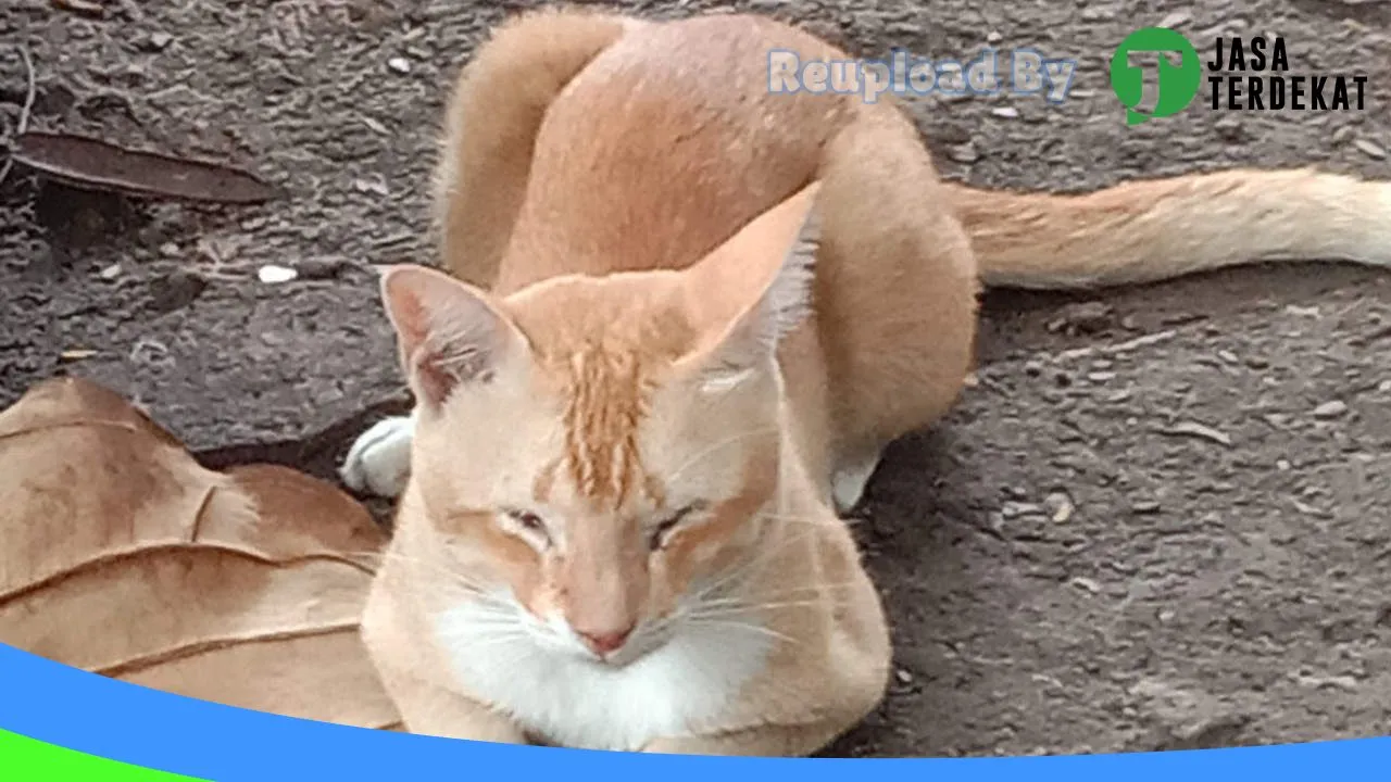Gambar Rumah anut di Jakarta Barat, DKI Jakarta ke 1