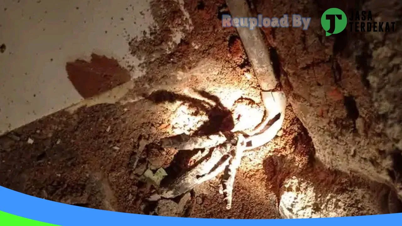 Gambar Pasang Listrik Nganjuk di Nganjuk, Jawa Timur ke 5