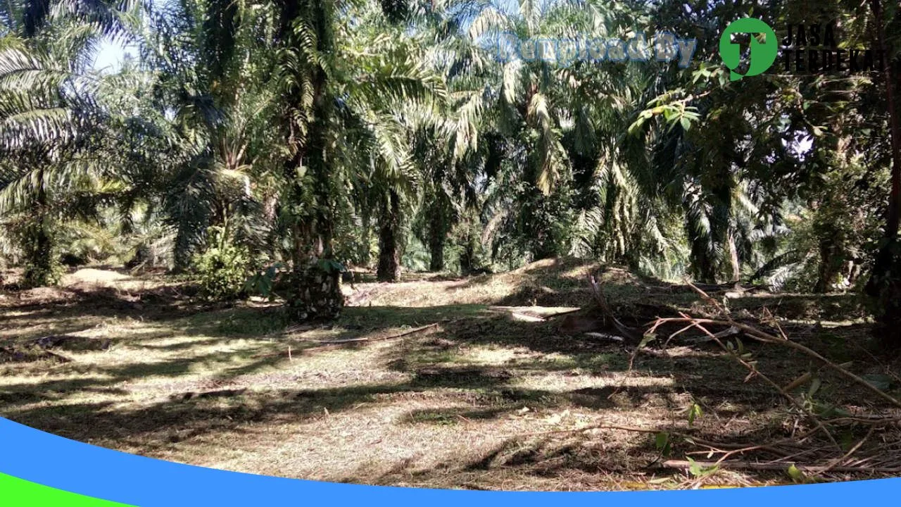 Gambar PT PLN (Persero) UP3 Pematangsiantar di Pematangsiantar, Sumatera Utara ke 1