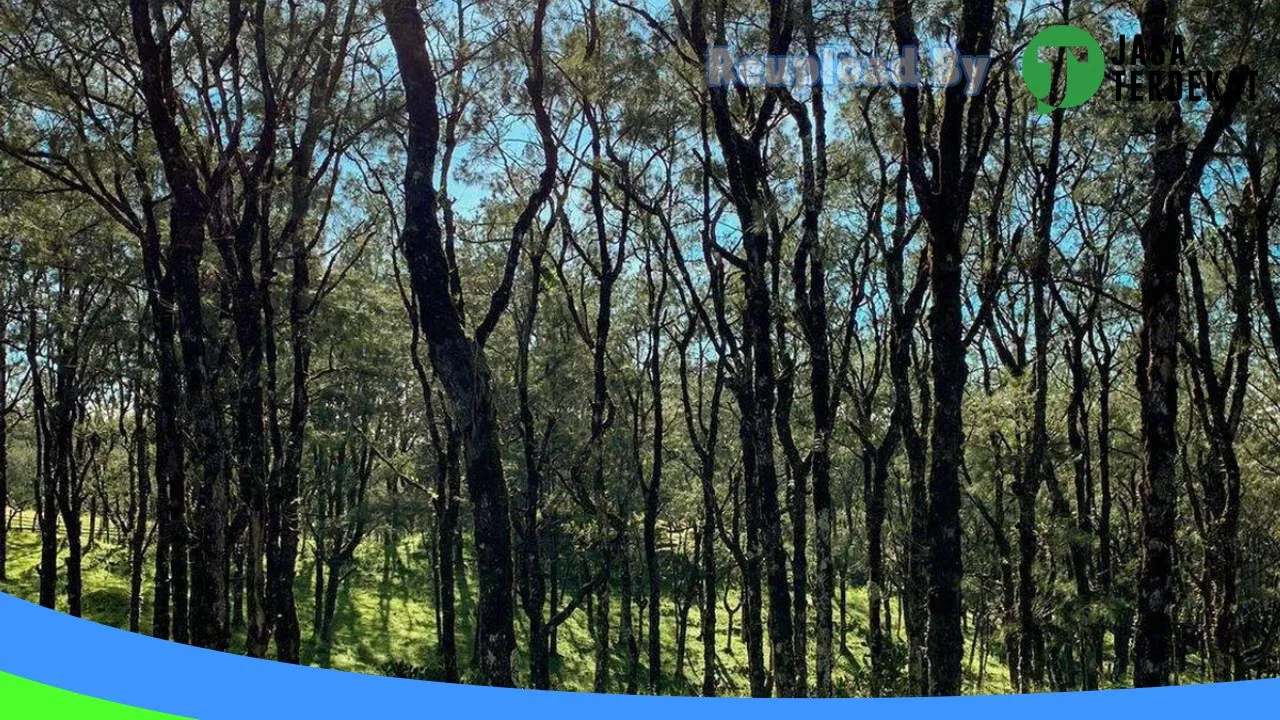 Gambar PT. PLN (Persero) ULP Ende di Ende, Nusa Tenggara Timur ke 2