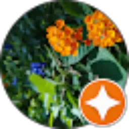 Review From Indriyany KR