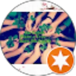 Review From Windy Dw