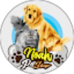 Review From Noah Petshop