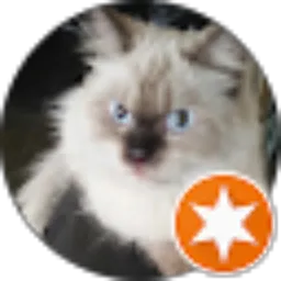 Review From Kucing Bengong