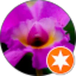 Review From Yupies Hermandita