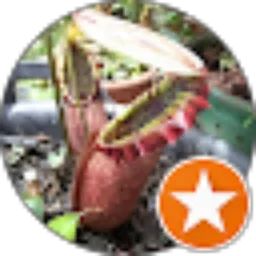 Review From daniel ferdian