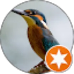 Review From victor movers